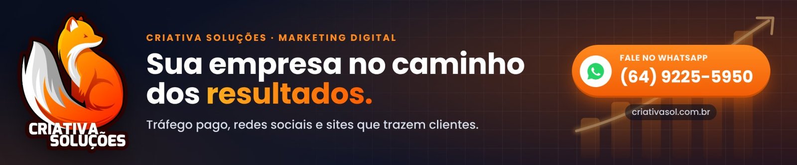 Criativa Soluções — sua empresa no caminho dos resultados. WhatsApp (64) 9225-5950